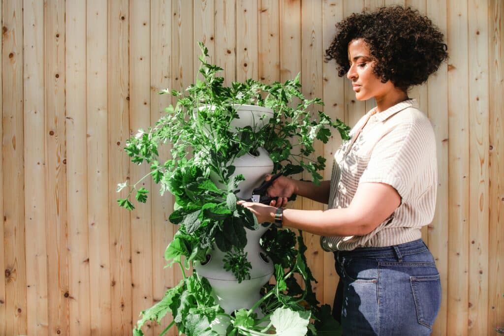 Mulher apara ervas em um vaso vertical — descubra como construir um suporte para plantas com estilo. How to build a DIY plant stand with style