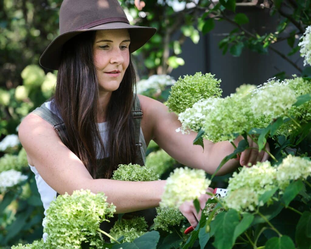 Mulher de chapéu marrom cuidando de flores brancas e verdes, aprendendo a podar corretamente suas plantas domésticas em um dia ensolarado. How to properly prune your houseplants